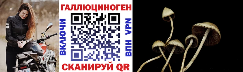 Галлюциногенные грибы прущие грибы  Амурск 